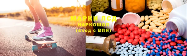 индика Арсеньев