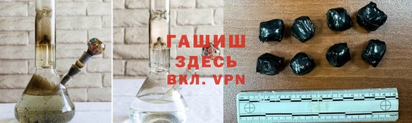 индика Арсеньев