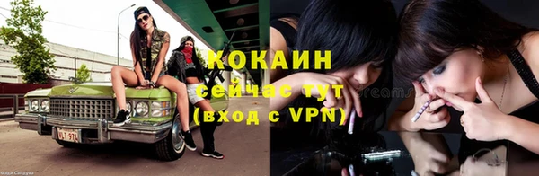 индика Арсеньев