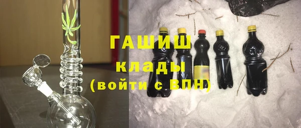 индика Арсеньев