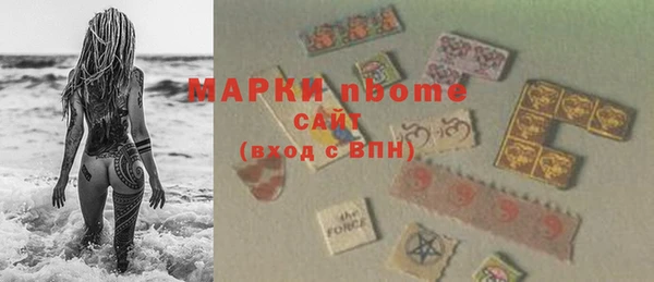 индика Арсеньев