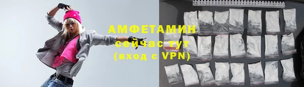 амф Новозыбков