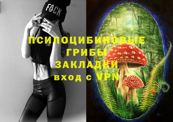 не бодяженный Аркадак