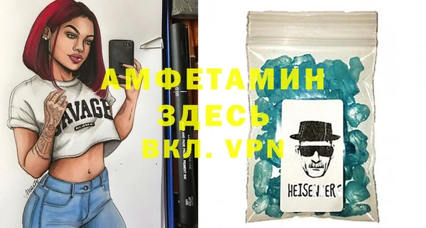 индика Арсеньев
