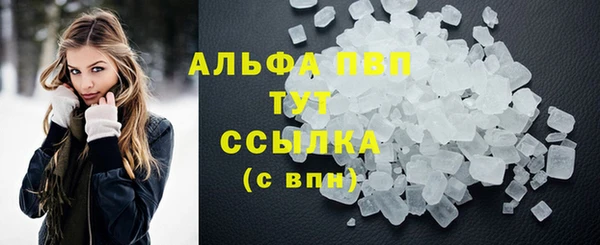 индика Арсеньев