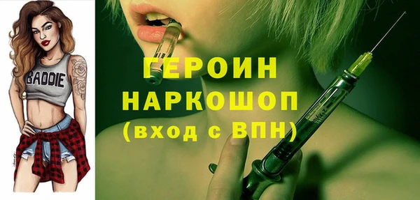 индика Арсеньев