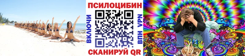 Купить Грайворон Галлюциногенные грибы Magic Shrooms